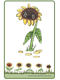 Flower State