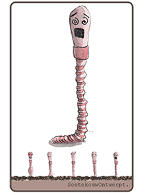 0% DISTEL-MAUERBIENE - Burghausen